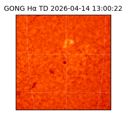 gong - 2026-04-14T13:00:22