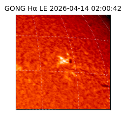 gong - 2026-04-14T02:00:42