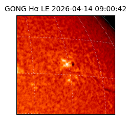 gong - 2026-04-14T09:00:42