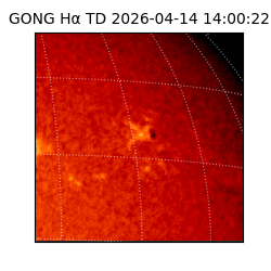 gong - 2026-04-14T14:00:22