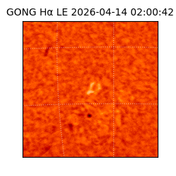 gong - 2026-04-14T02:00:42