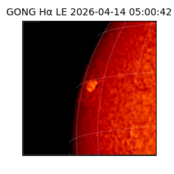 gong - 2026-04-14T05:00:42