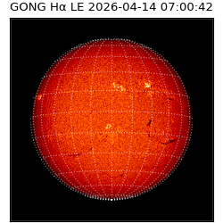 gong - 2026-04-14T07:00:42