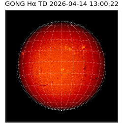 gong - 2026-04-14T13:00:22