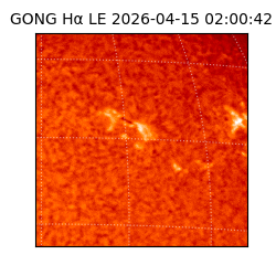 gong - 2026-04-15T02:00:42