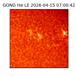 gong - 2026-04-15T07:00:42