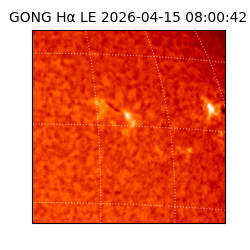 gong - 2026-04-15T08:00:42