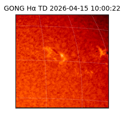 gong - 2026-04-15T10:00:22