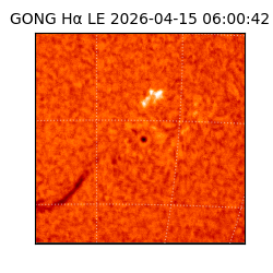 gong - 2026-04-15T06:00:42