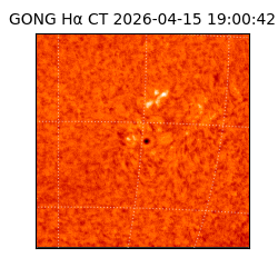 gong - 2026-04-15T19:00:42