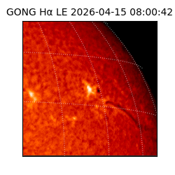 gong - 2026-04-15T08:00:42
