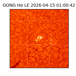 gong - 2026-04-15T01:00:42