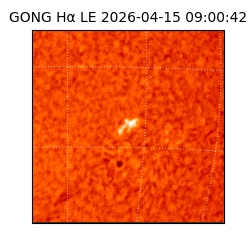 gong - 2026-04-15T09:00:42