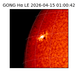 gong - 2026-04-15T01:00:42