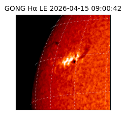 gong - 2026-04-15T09:00:42