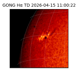 gong - 2026-04-15T11:00:22