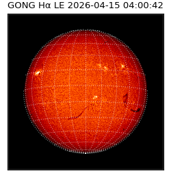 gong - 2026-04-15T04:00:42