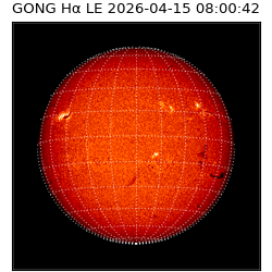 gong - 2026-04-15T08:00:42