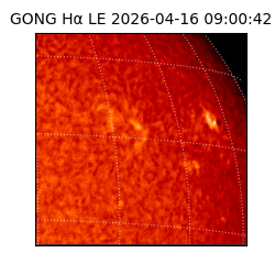 gong - 2026-04-16T09:00:42