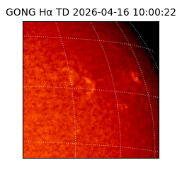 gong - 2026-04-16T10:00:22