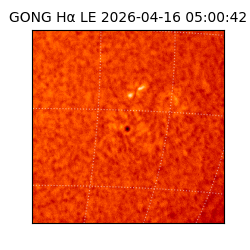 gong - 2026-04-16T05:00:42