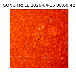 gong - 2026-04-16T08:00:42