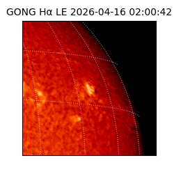gong - 2026-04-16T02:00:42