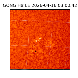 gong - 2026-04-16T03:00:42