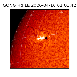 gong - 2026-04-16T01:01:42