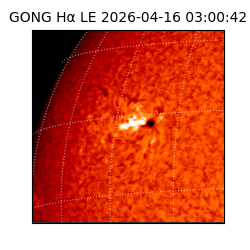 gong - 2026-04-16T03:00:42