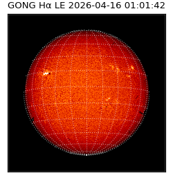 gong - 2026-04-16T01:01:42