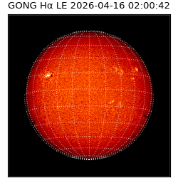 gong - 2026-04-16T02:00:42