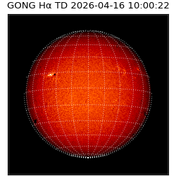 gong - 2026-04-16T10:00:22