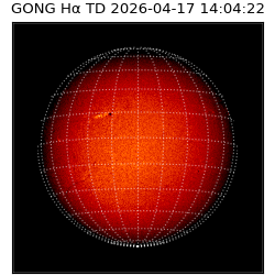gong - 2026-04-17T14:04:22