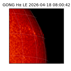gong - 2026-04-18T08:00:42