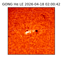 gong - 2026-04-18T02:00:42