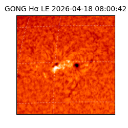 gong - 2026-04-18T08:00:42