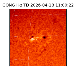 gong - 2026-04-18T11:00:22