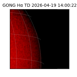 gong - 2026-04-19T14:00:22