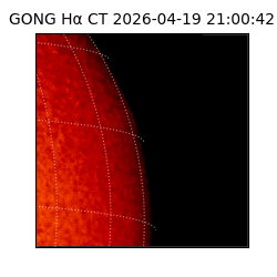 gong - 2026-04-19T21:00:42