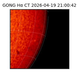gong - 2026-04-19T21:00:42