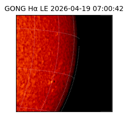 gong - 2026-04-19T07:00:42