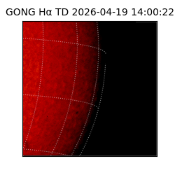 gong - 2026-04-19T14:00:22