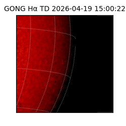 gong - 2026-04-19T15:00:22