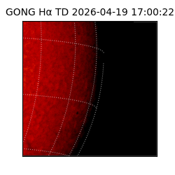 gong - 2026-04-19T17:00:22