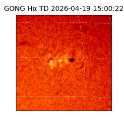 gong - 2026-04-19T15:00:22