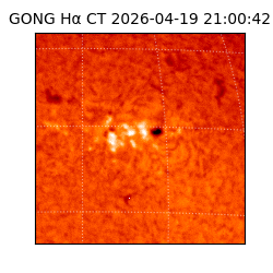 gong - 2026-04-19T21:00:42
