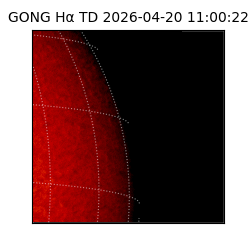 gong - 2026-04-20T11:00:22