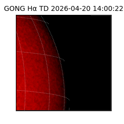 gong - 2026-04-20T14:00:22