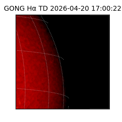 gong - 2026-04-20T17:00:22